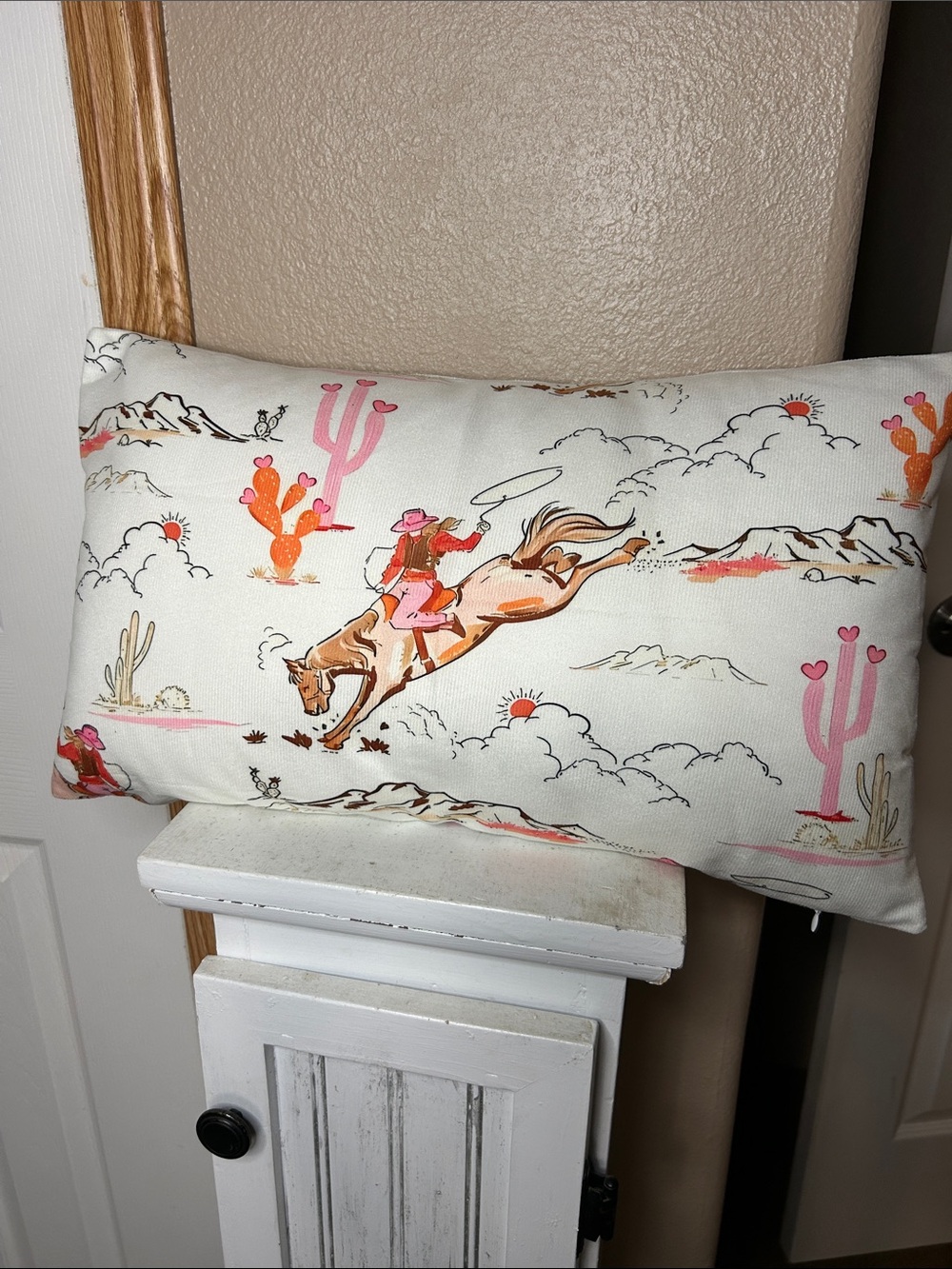 Cowgirl Rodeo Decorative Throw Pillow Cover in White and Pink